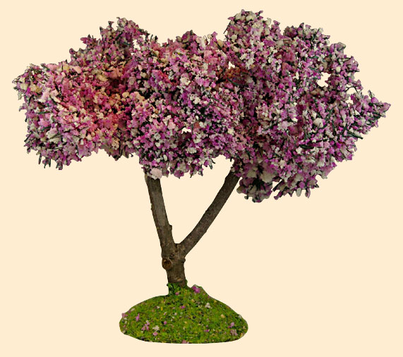 AMANDIER EN FLEURS