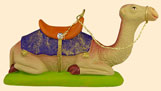 LYING CAMEL