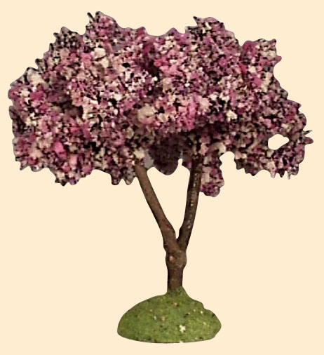 AMANDIER EN FLEURS