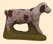 CHIEN DU CHASSEUR