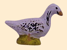 DUCK