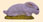 LAPIN COUCHE