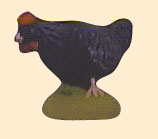 BLACK HEN