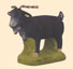 BOUC