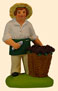 MAN HARVESTING GRAPES