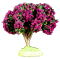 FUCHSIA FLOWER TREE