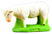 GRAZING SHEEP