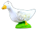 CANARD