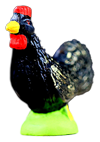 BLACK COCKEREL