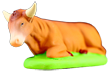 OX