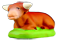 OX