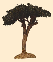 PIN PARASOL