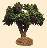 PIED DE VIGNE