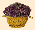 PANIER DE LAVANDE