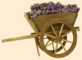 CART OF LAVENDER