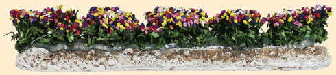 RANGÉE DE FLEURS