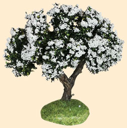 ARBRE FLEURI BLANC