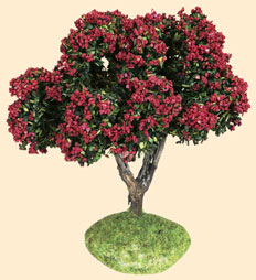ARBRE FLEURI ROUGE