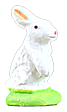 STANDING RABBIT