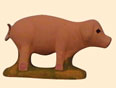 COCHON