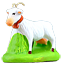 WHITE GOAT