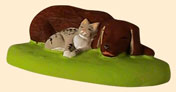 CHIEN ET CHAT DORMANT ENSEMBLE