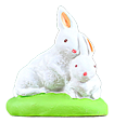 COUPLE DE LAPINS