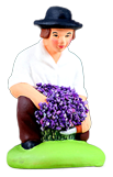 MAN CUTTING LAVENDER KNELT