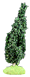 CYPRESS