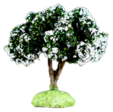 WHITE FLOWER TREE