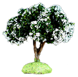 ARBRE FLEURI BLANC