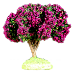 FUCHSIA FLOWER TREE
