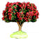 RED FLOWER TREE